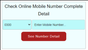contact number details
