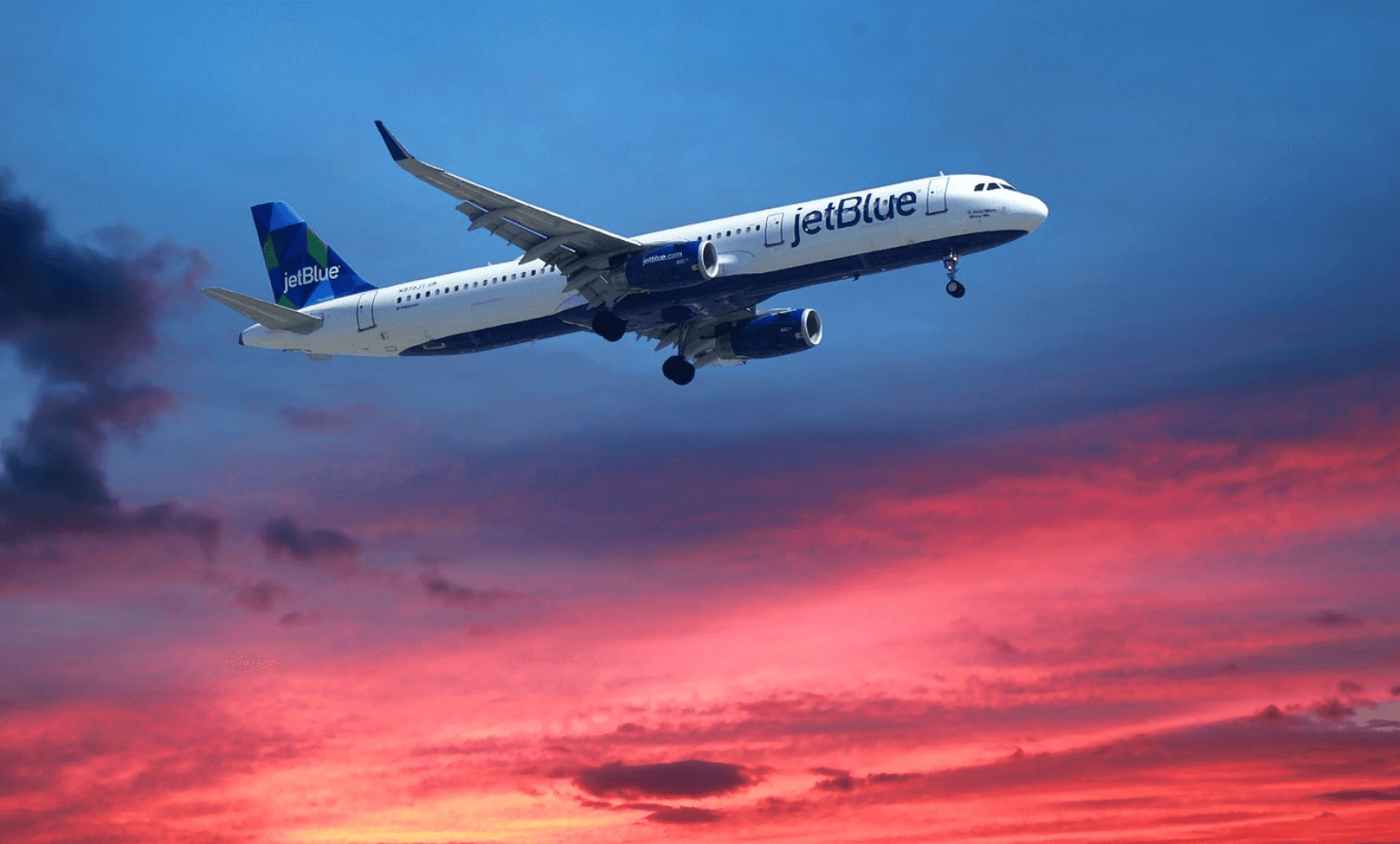 best host travel agency for beginners 2022
