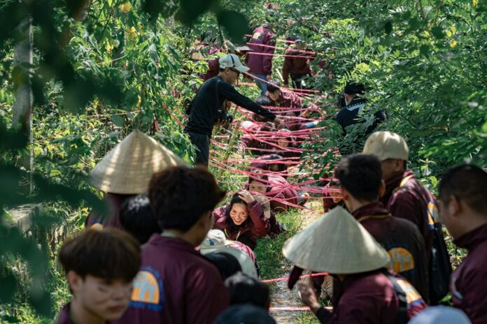 growth strategy for entities