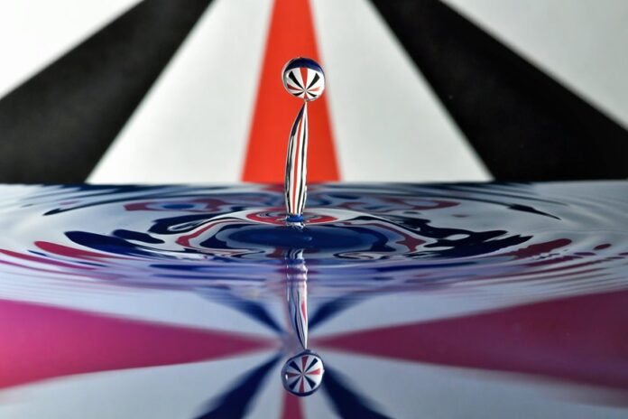 impact assessment for entities