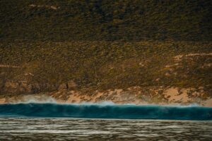 apex wave inspires strategic potential
