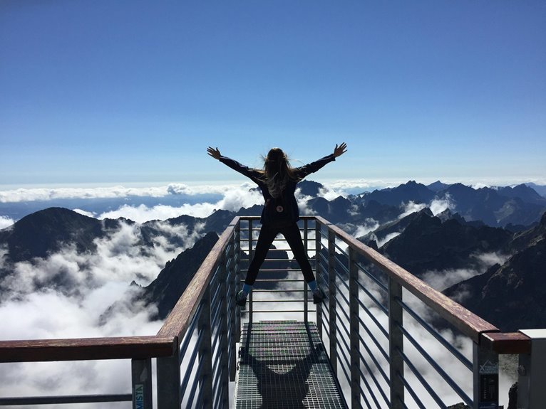Elevation Surge Start 18332891205 Shaping Transformative Success