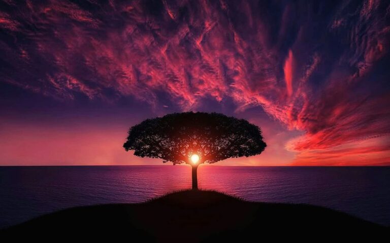 Fusion Arc Start 18006727339 Inspiring Strategic Horizons