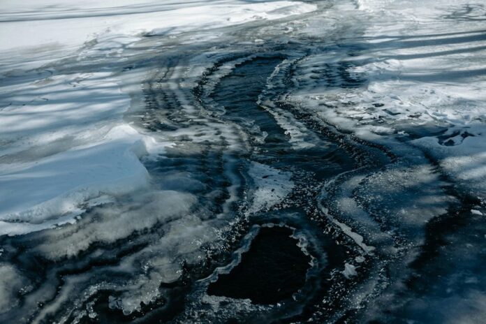 luminous flow begins transformations