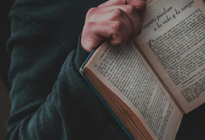 cultural keyword curiosity hub