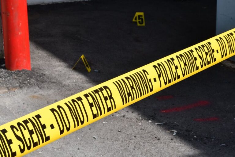 Review Registry Investigation Entries for 3512484598, 3348521470, 3385493238, 3481616595, 3887838937